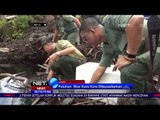 Gagal Diselundupkan Puluhan Ekor Kura Kura Dilepasliarkan - NET24