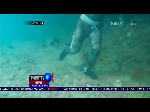 Wisatawan Domestik Rusak Terumbu Karang di Raja Ampat - NET24