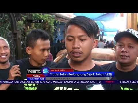 Warga Mengarak 73 Ekor Kambing Kurban - NET 12