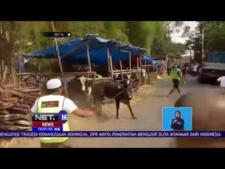 Sapi Mengamuk Serang Warga - NET16