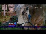 Persiapan Masjid Istiqlal Menyambut Hari Raya Idul Adha - NET24