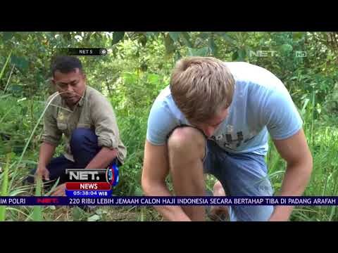 Taman Nasional Gunung Leuser, Warisan Dunia Sejak 2004 NET 5