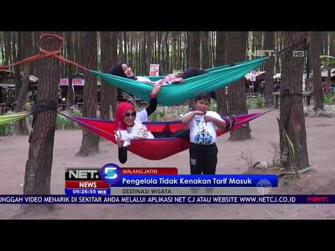 Hutan Pinus Semeru, Destinasi Wisata Untuk Berswafoto NET 5