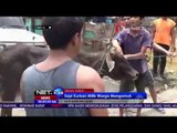 Sapi Kurban Milik Warga Mengamuk - NET24