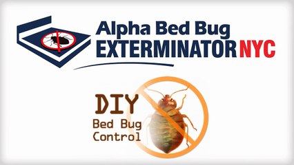 Alpha Bed Bug Exterminator NYC