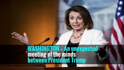 Trump’s Support for Law to Protect ‘Dreamers’ Lifts Its Chances