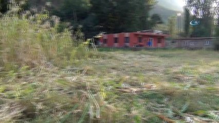 Köylülerin Kış Mesaisi Başladı