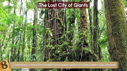 5 Strangest Things Found In The Jungle! by Merlin Turner