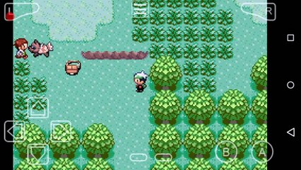 Top 5 Jogos de Pokemon Com Mega Evolução [Gba]