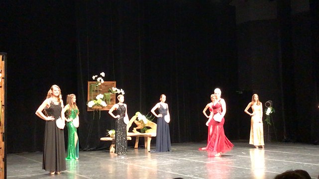 Miss Calvados 2017 élue au Forum