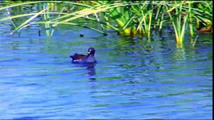 الطبيعة بين يديك