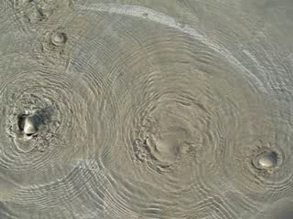 QUIBERVILLE SUR MER Plage et sable mouvants ........