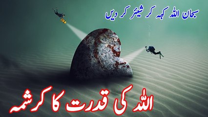 اللہ کی قدرت کا کرشمہ نا قابل یقین ویڈیوز بے شک وہ مردوں کو بھی زندہ کرنے والا ہے