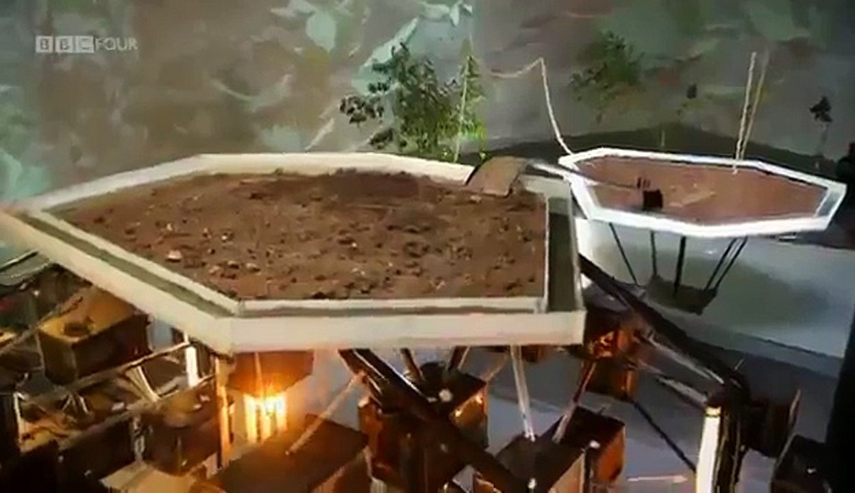 Documentary Ant Documentary Ant Planet Ant Life Inside The Colony