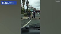 officer escorts mother duck and ducklings safely acress the street