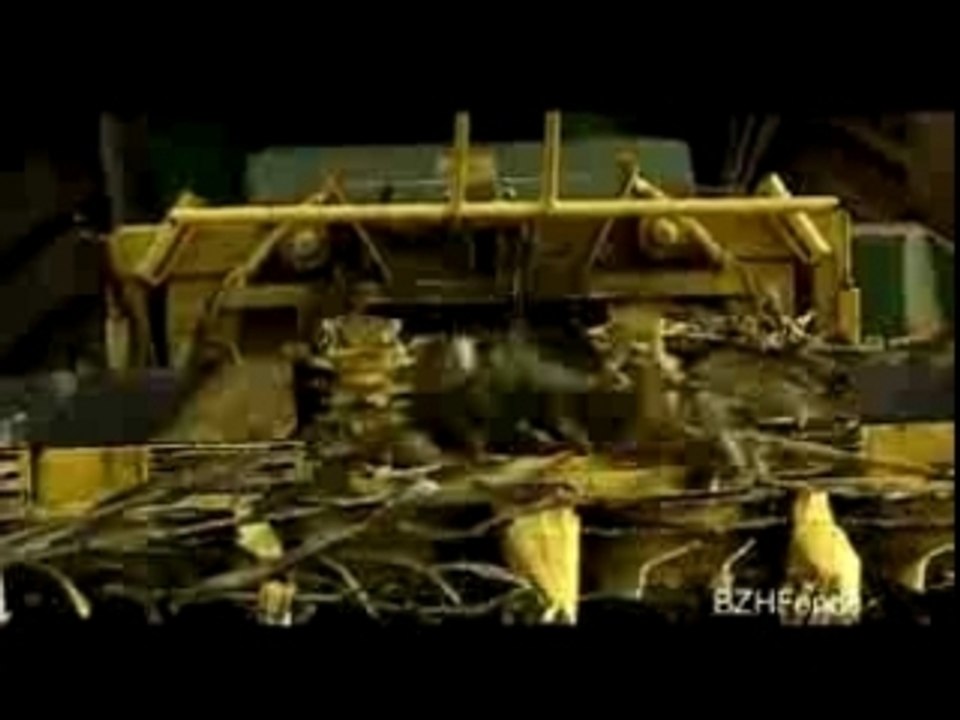 Ensilage