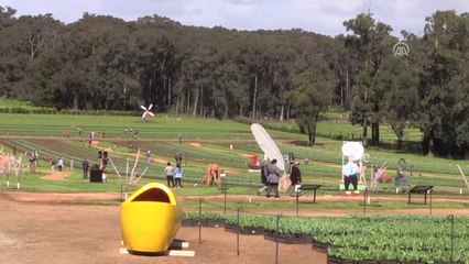 Avustralya'da Lale Festivali Başladı