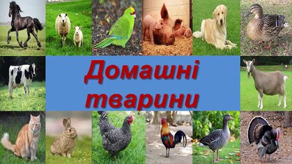 ГОЛОСИ ДОМАШНІХ ТВАРИН ДЛЯ ДІТЕЙ