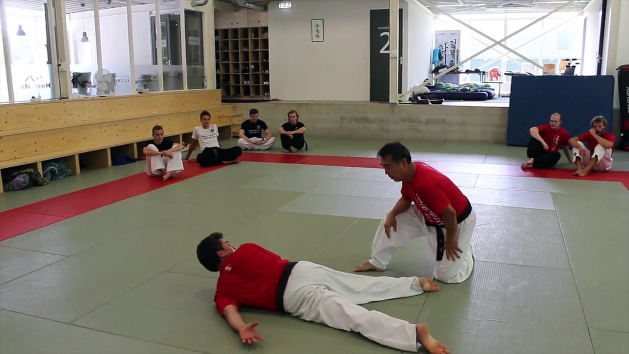 Hapkido defense