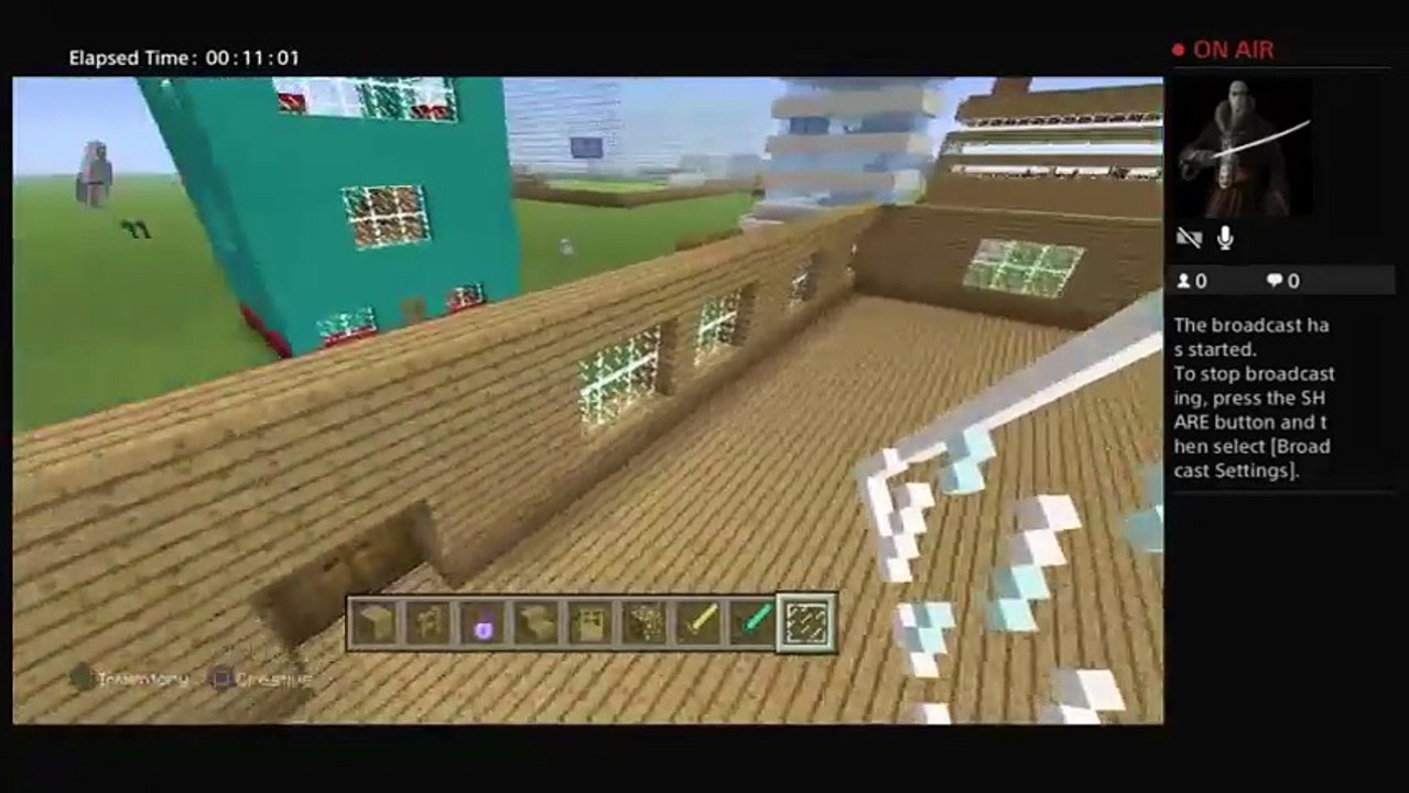 Minecraft (39)