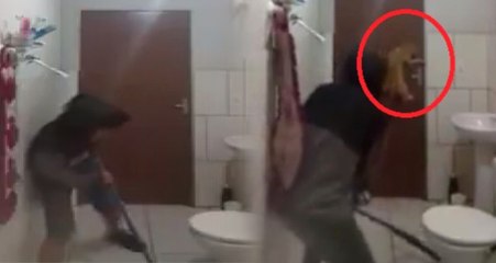 Gülme Krizine Sokan Görüntü! Farenin Boyunu Gören Kedi, Kaçarken Kapılara Tırmandı