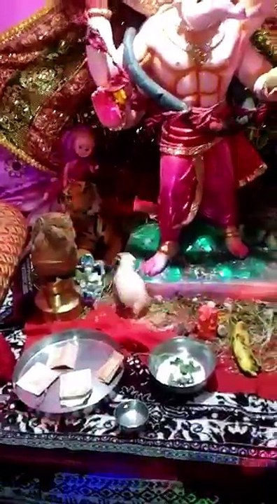 Ganesh Chaturthi 2017 (ganpati bapa moriya) live