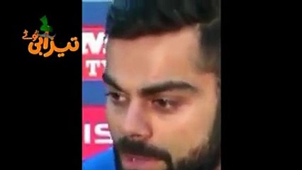 Funny punjabi totay with dabbing