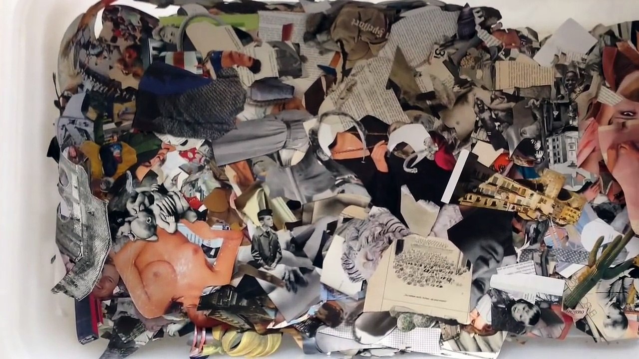 Collage Artist