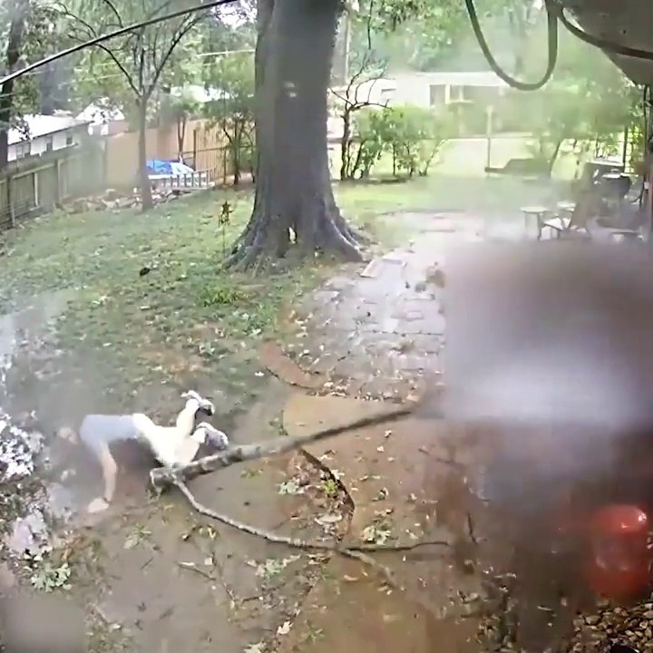 Il échappe de peu à la chute d'une énorme branche d'arbre !