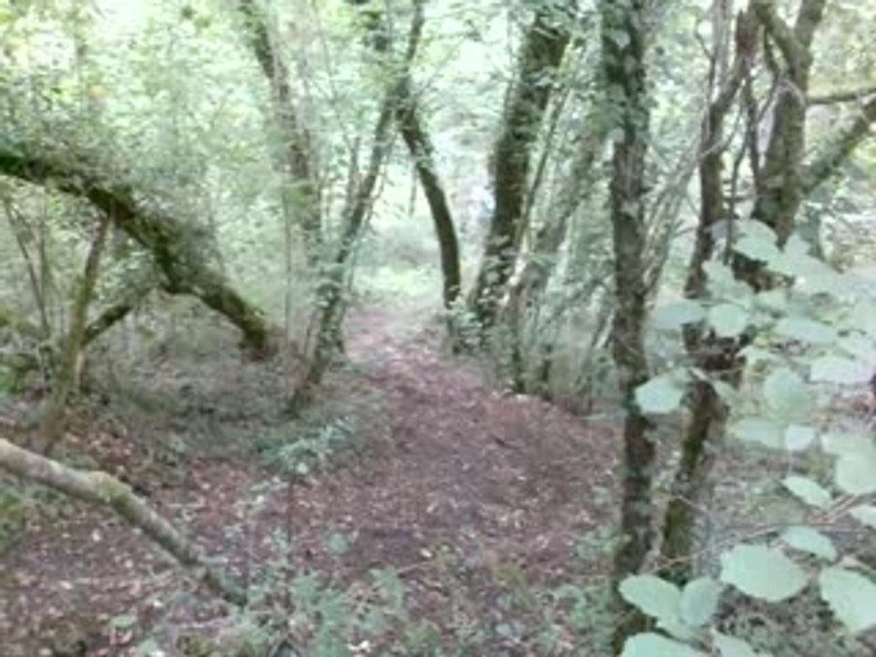 enduro freddy rate sa montée