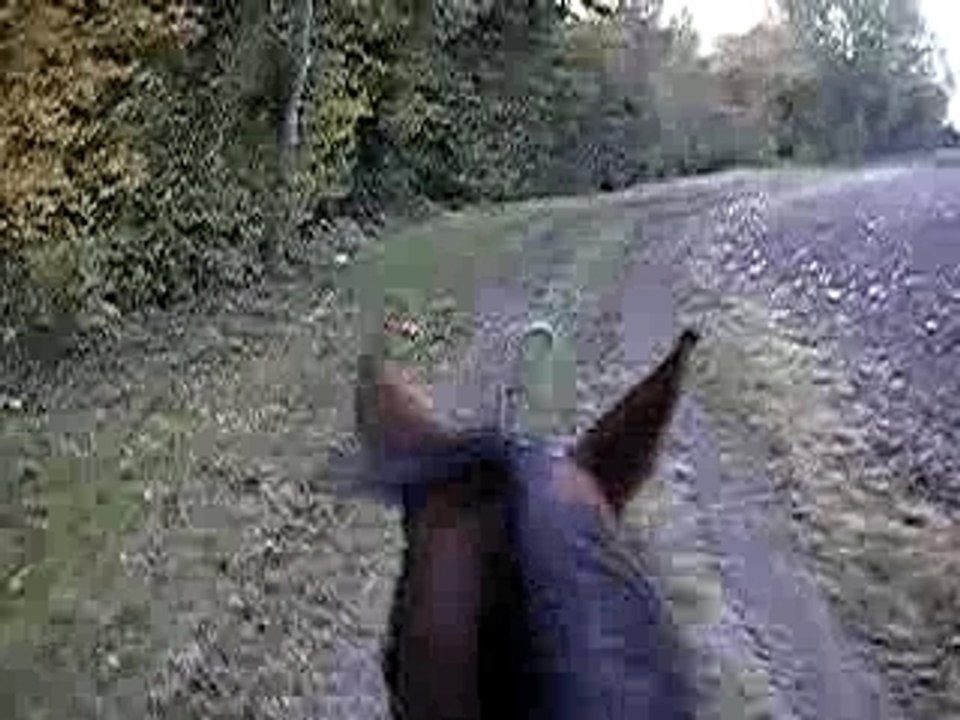 Balade sur Mercure 2