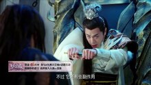 哈士奇28