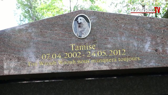 Insolite : visite du cimetière des animaux le plus vieux du monde