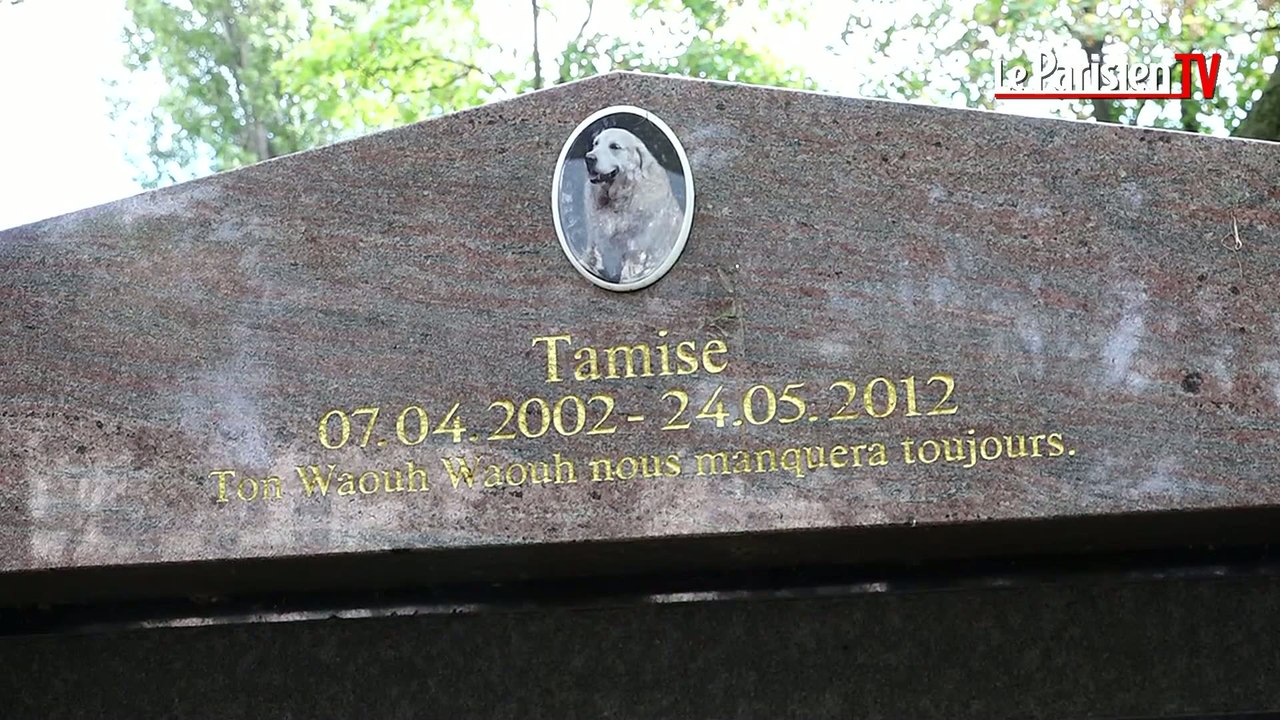 Insolite : visite du cimetière des animaux le plus vieux du monde