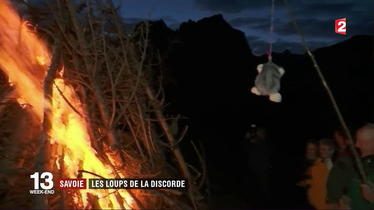 Savoie : les loups de la discorde