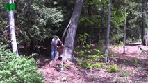 Tree fails and idiots with chainsaws - EPIC FAIL Compilation. Part 6