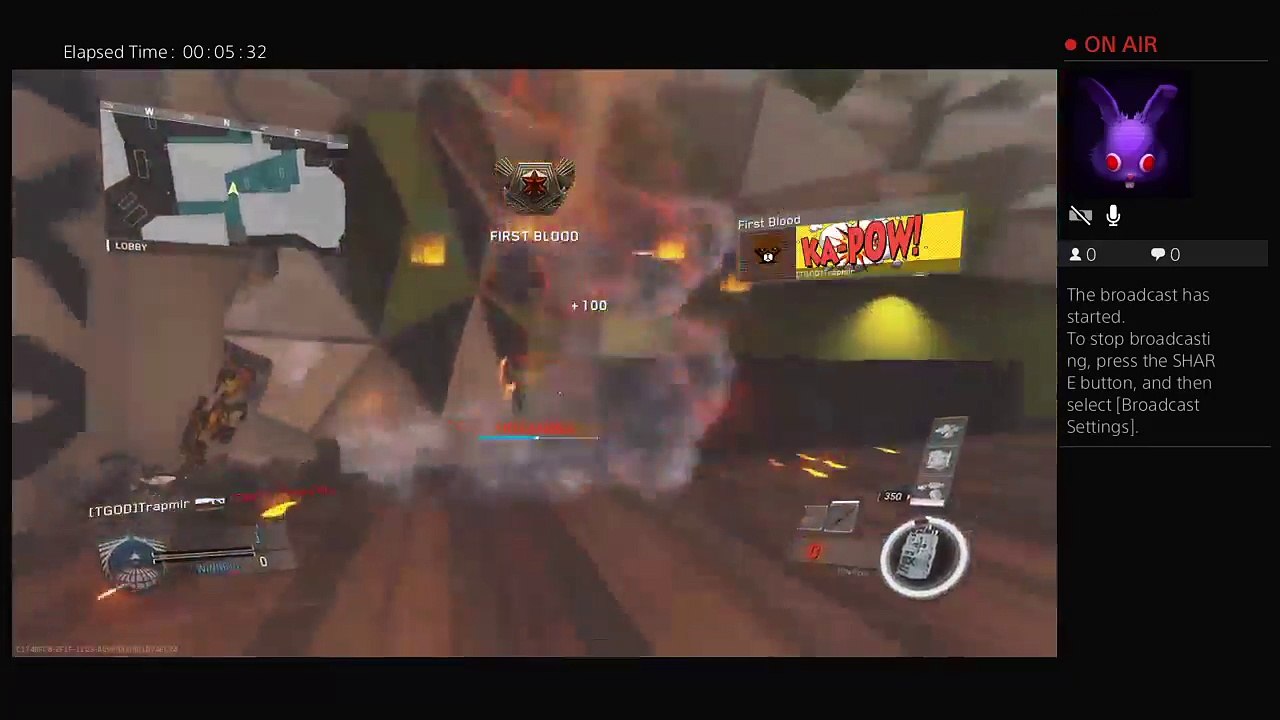 Trapmir's  stream (6)