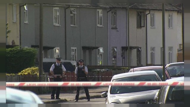 UK police raid house after 'significant' arrest over London attack