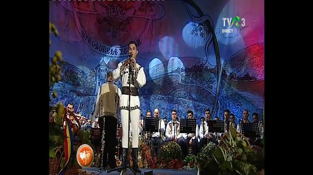 Razvan Popa - Festivalul National de folclor Strugurele de aur - Alba Iulia - 15.09.2017