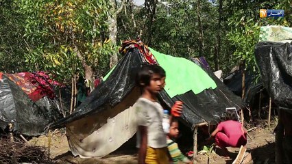 بنغلادش..مأساة الروهينغا تتواصل والأرقام ترتفع مجددا