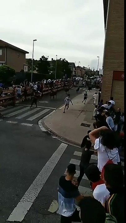Unbelievable Bulls Running Festival HD Video Google Guru