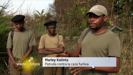 El viaje del zorro volador | Visión futuro