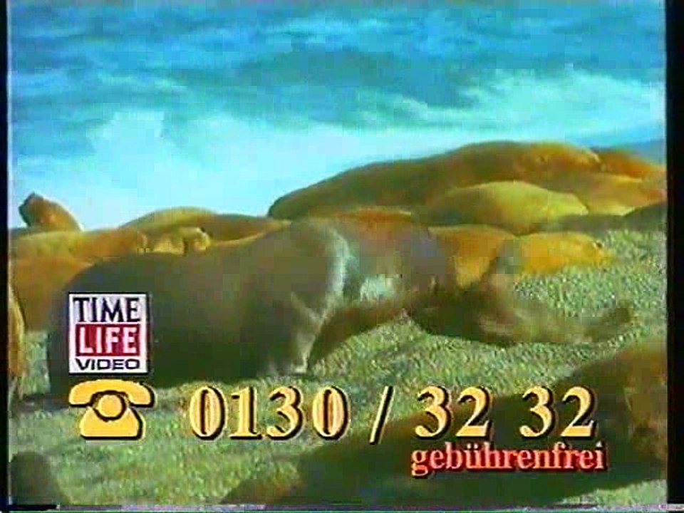 [Tele 5] Werbung, Bim Bam Bino 31.12.1992 (2) - YouTube