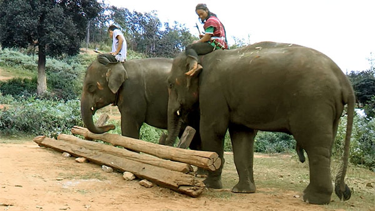 Besuch beim Elefantenflüsterer