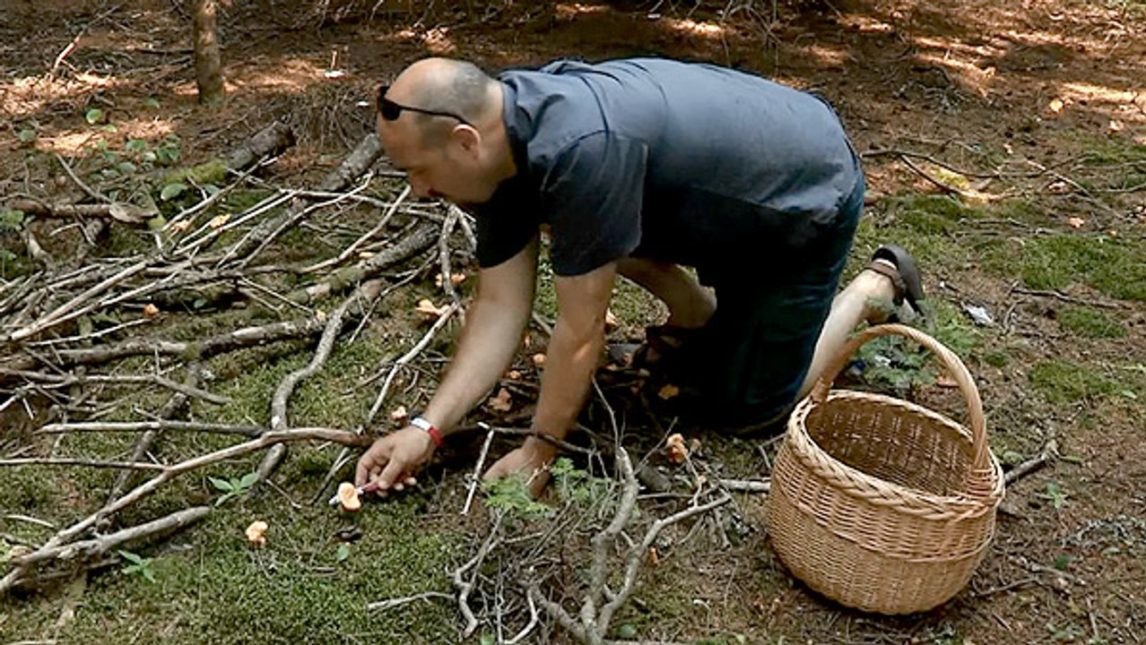 Prince Edward Island – Gaumenfreuden aus der Natur