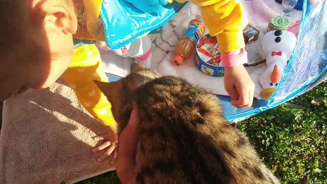 Elsa çadır bahçede , elif elsa anna olaf piknik yapıyorlar, eğlenceli çocuk videosu