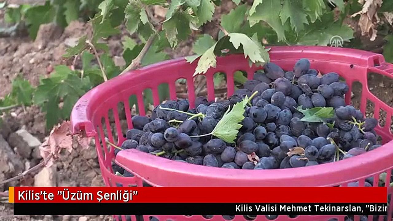 Kilis'te "Üzüm Şenliği"