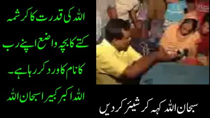 ساری دنیا کے کافروں کو اس کتے کا بچے کا چیلنج  سبحان اللہ ایک کرشمہ