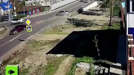 Hai chú chó "hóng biến" nhất quả đất