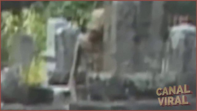 Recopilación videos de duentes, aliens, montruos, brujas y fantasmas reales | Videos de terror reales | Videos de miedo